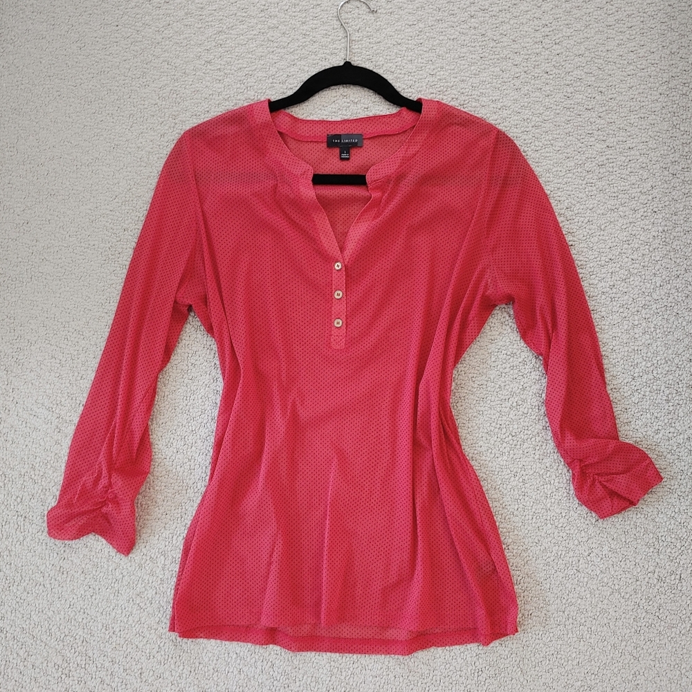 THE LIMITED | Sheer Button Up Blouse